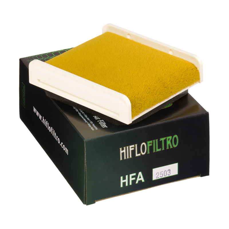 HIFLOFILTRO  Air Filter Element  HFA2503