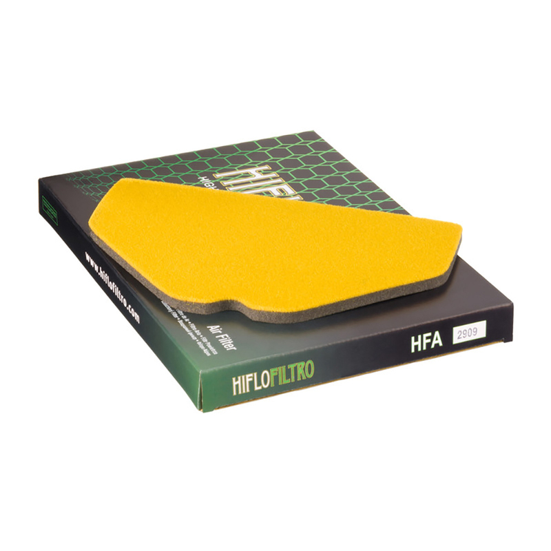 HIFLOFILTRO  Air Filter Element  HFA2909