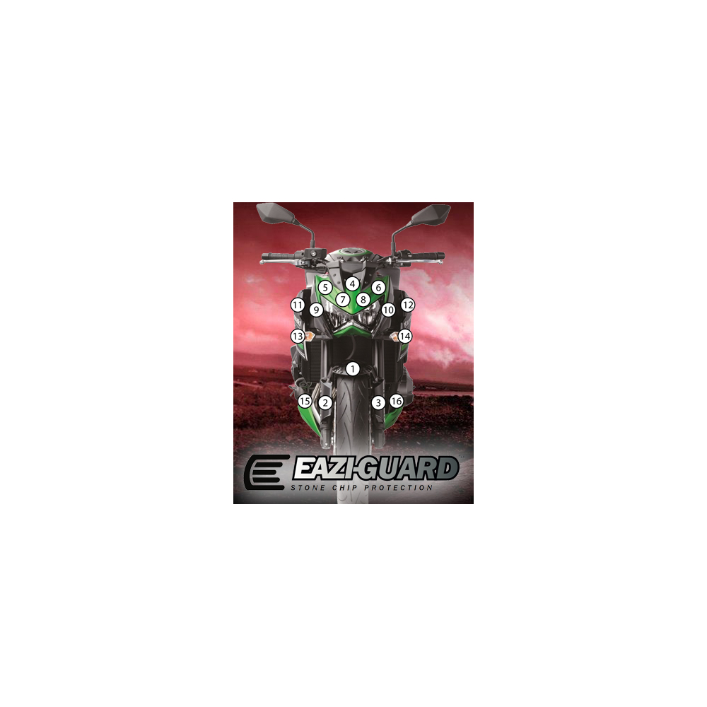 Eazi-Guard Paint Protection Film for Kawasaki Z800  gloss