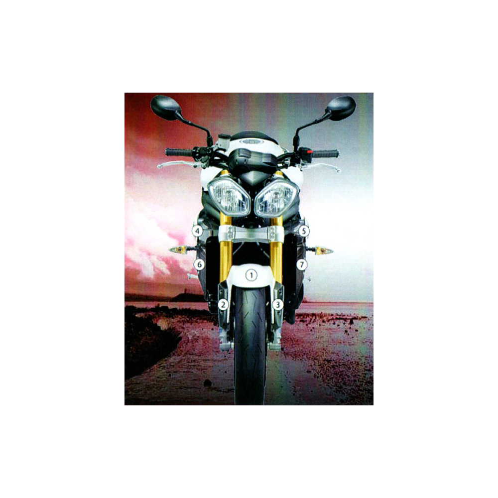 Eazi-Guard Paint Protection Film for Triumph Speed Triple 2011 - 2015  gloss